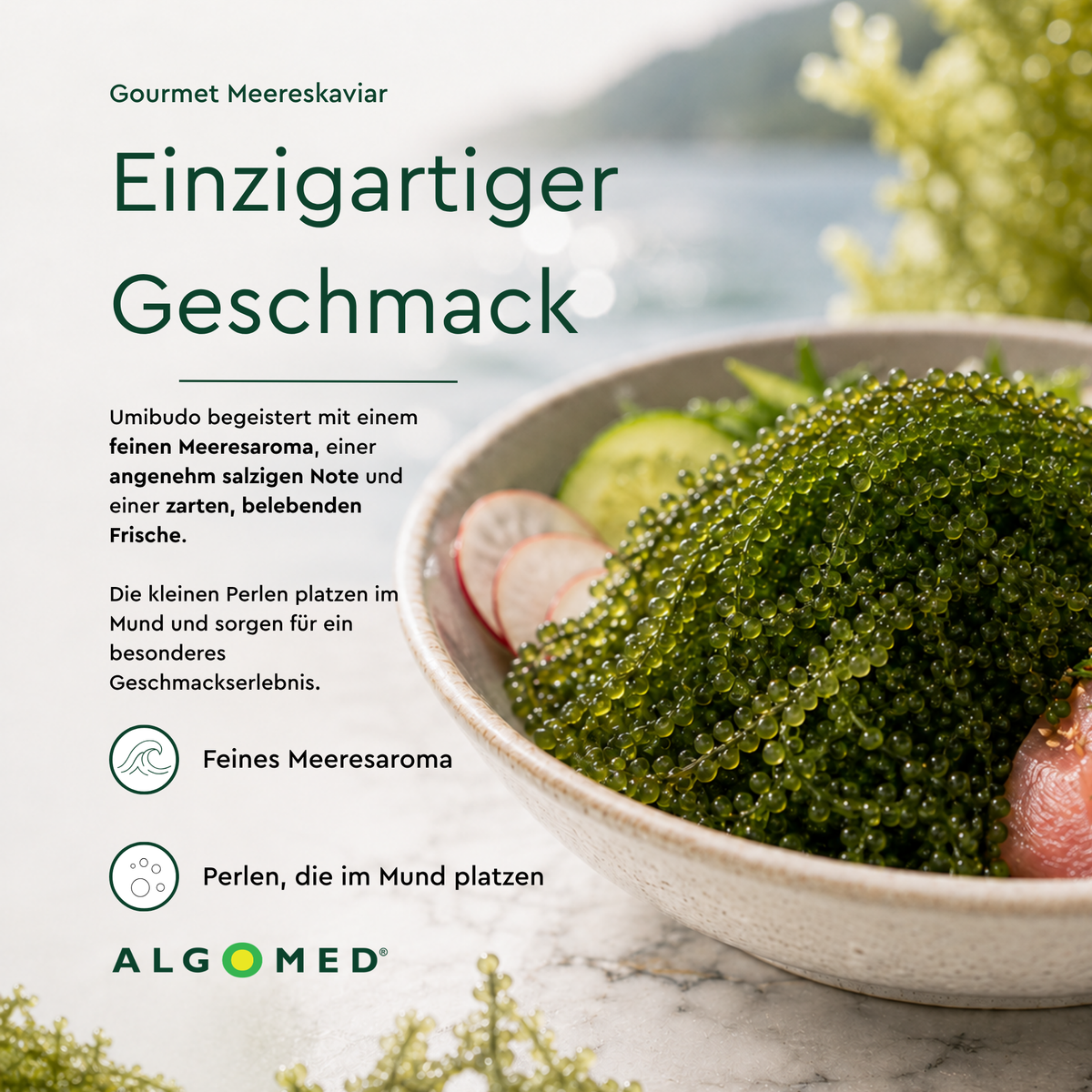 ALGOMED Gourmet Meereskaviar Umibudo-Geschmack-feinen Meeresaroma-salzigen Note-Perlen zerplatzen im Mund 